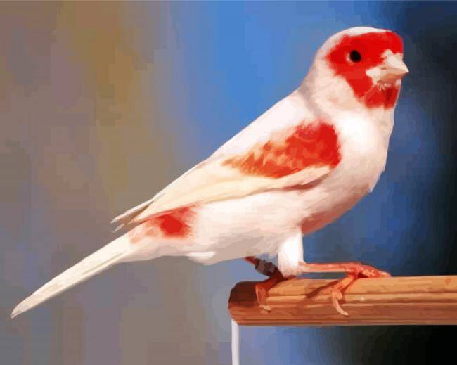 k-red-lipochrome-mosaic-canary-paint-by-number-standard-x6zikn.jpg