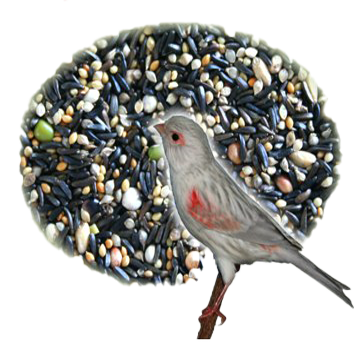 Kiemzaden voor Roodmozaïek  | JPL Birds Premium Kiemmix