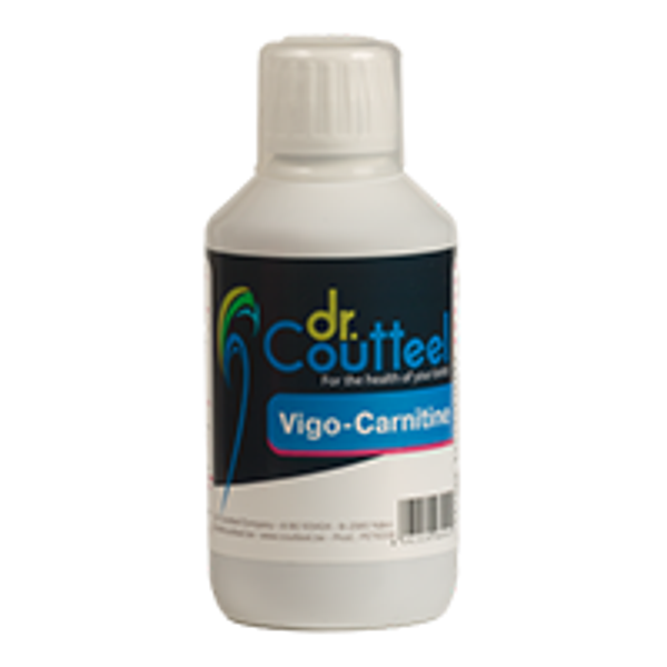 VIGO-CARNITINE