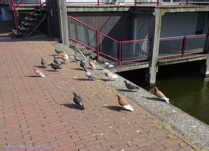 and s/he called the friends, ..&#039;this one is okay you can come&#039;..