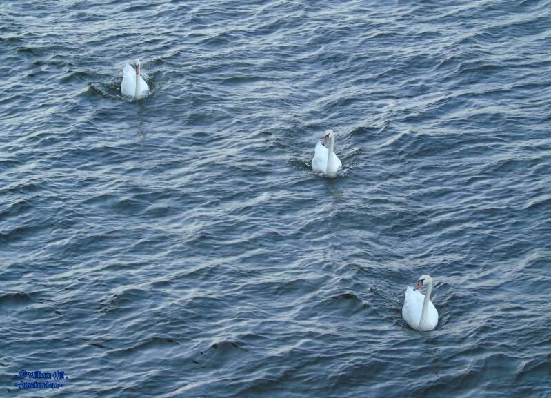 Damn.. Damn.. Damn..