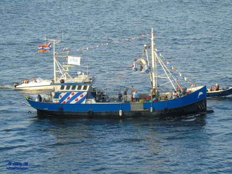 &#039;Wilhelmina&#039;