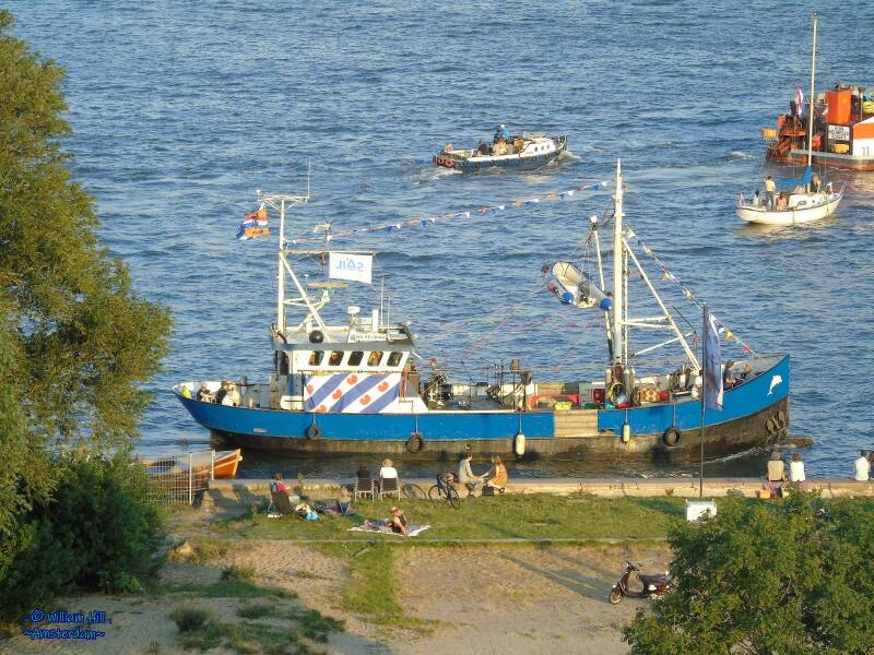 &#039;Wilhelmina&#039;