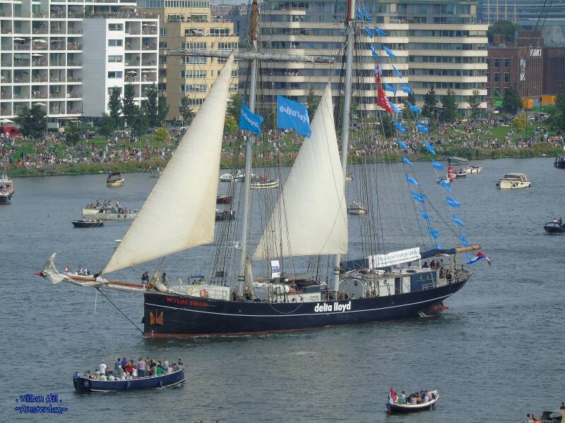 &#039;Wylde Swan&#039;