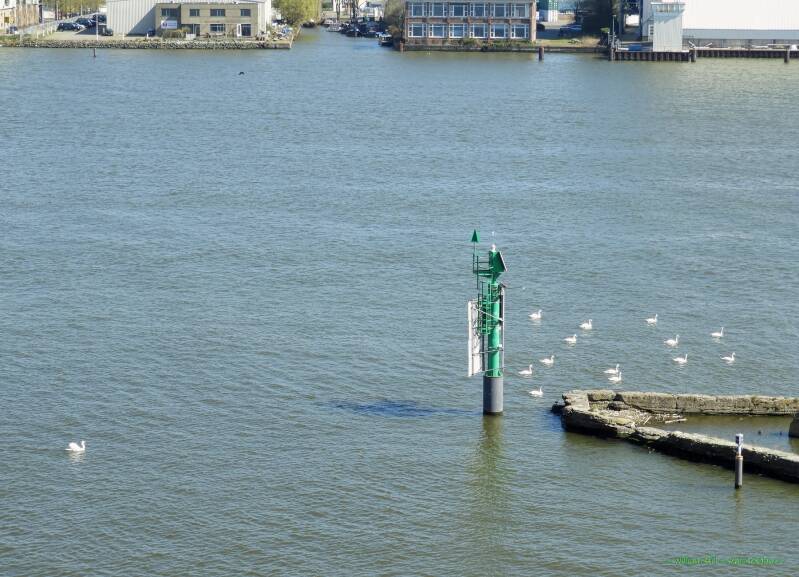 as a shepherd following the flock