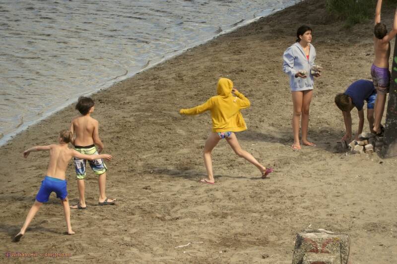 some stupid kids, throwing rocks to the swans