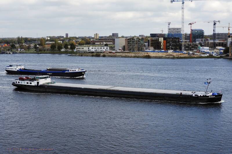 SINGA  &amp;  PIETERNELLA