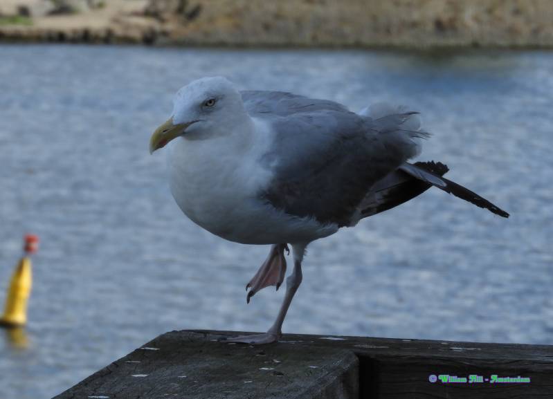 stretching the leg..a-a-a-aah