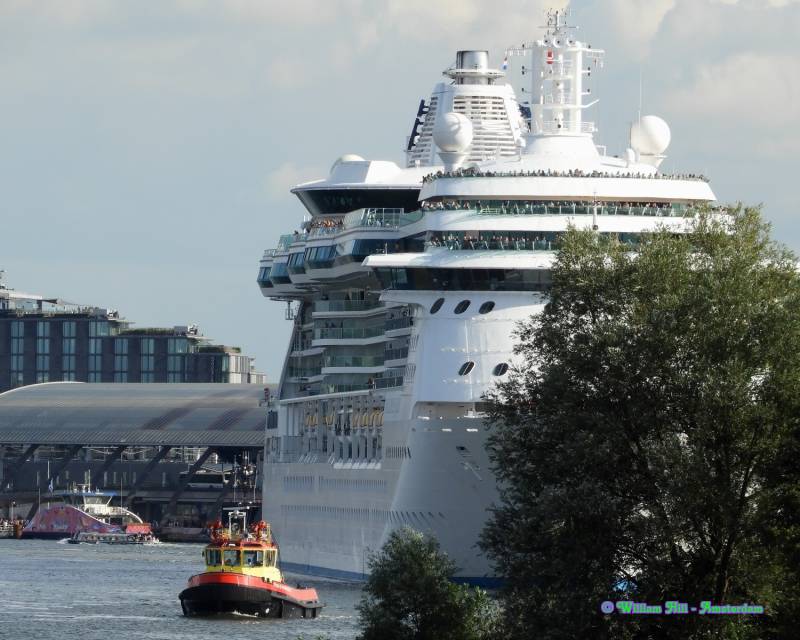 tree standing in the way