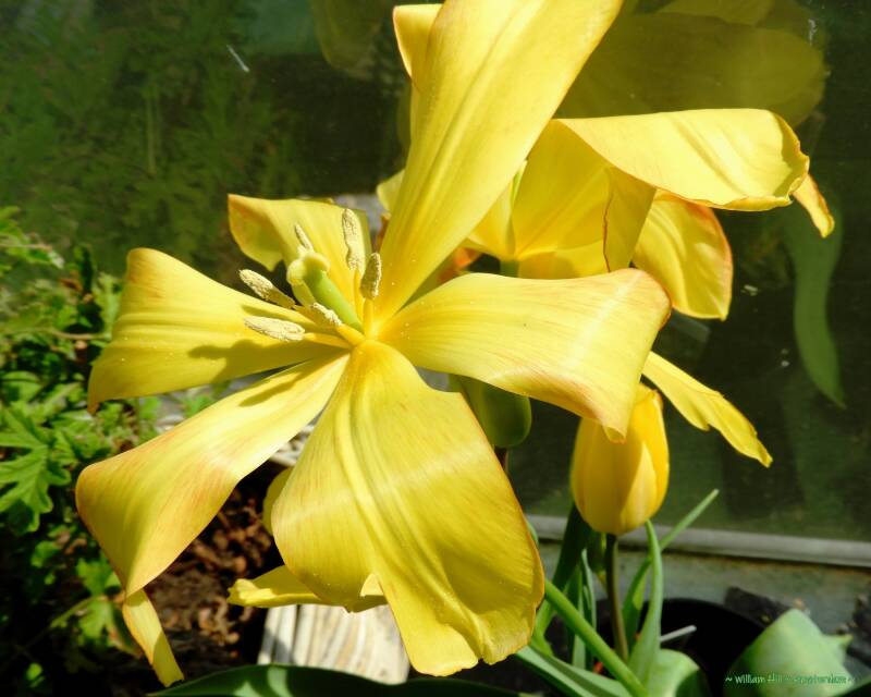 and number one is a bit of a show-off today to please us