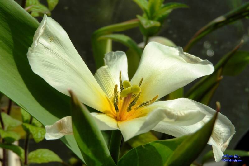 I am open for you, land on me