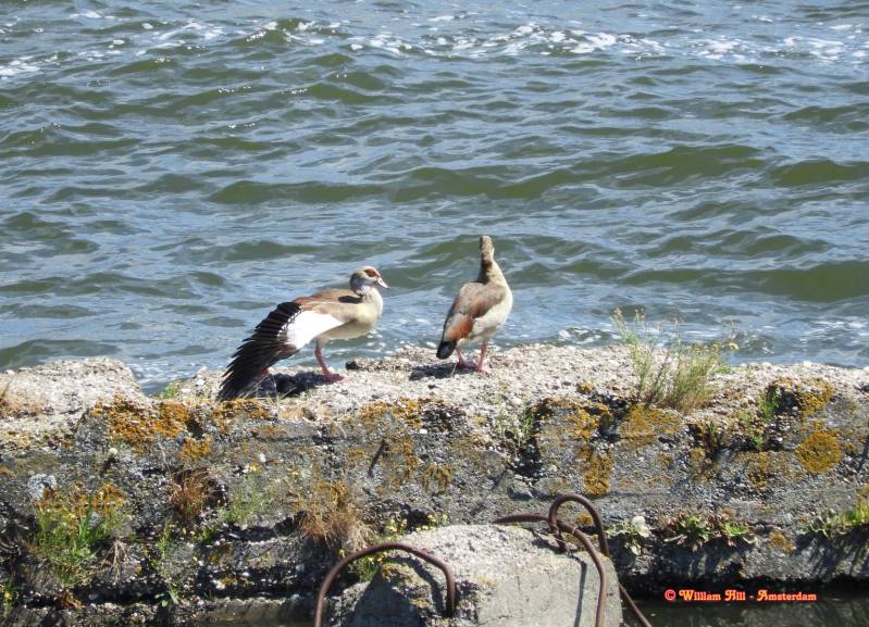 a nice sunday at the waterside