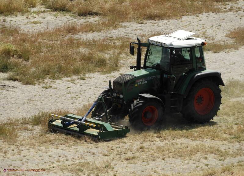 ah, some happy mower