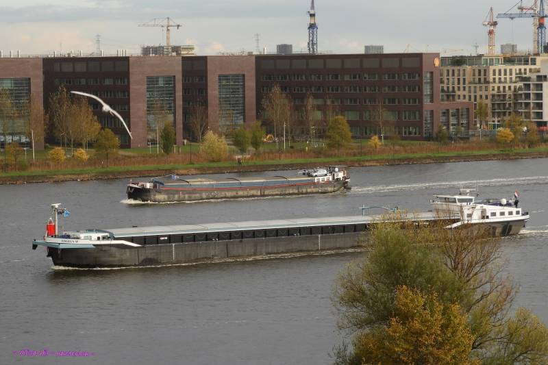 ANGELA-W  +  ZUIDERZEE and Gull