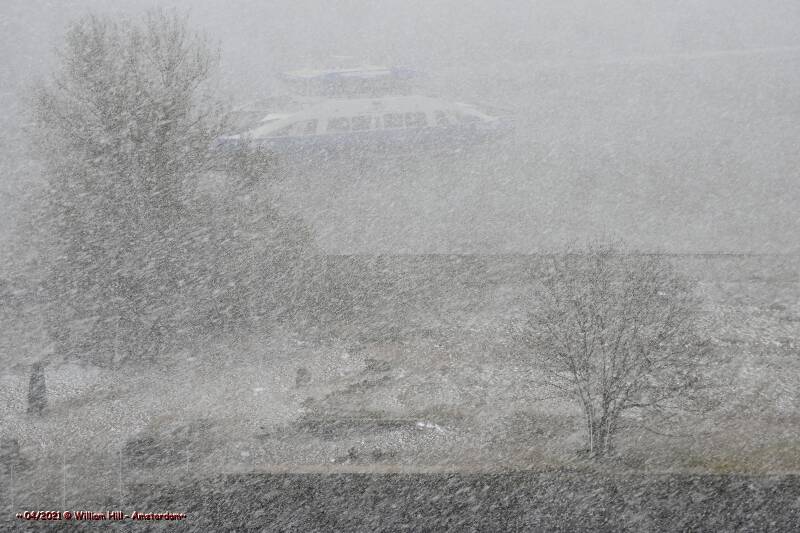 hard wind and snow everywhere