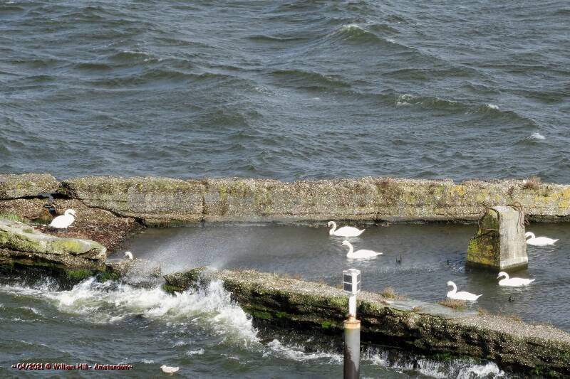 if you don&#039;t sit on the nest you will be blown away