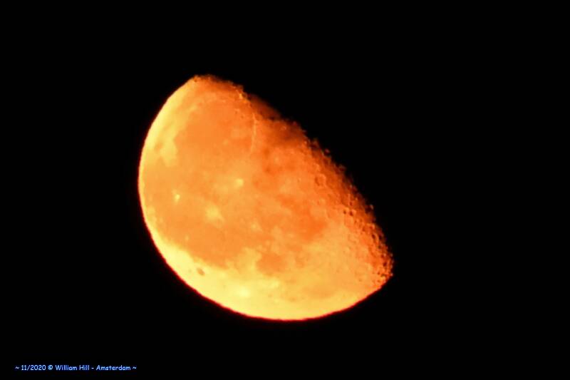 like a custard pudding with burnt crust