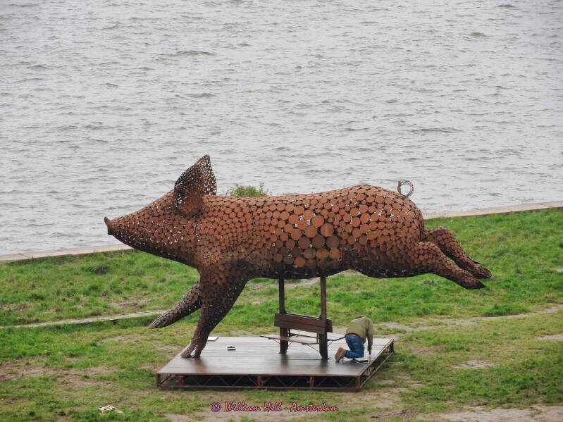 hey, we have a piggy