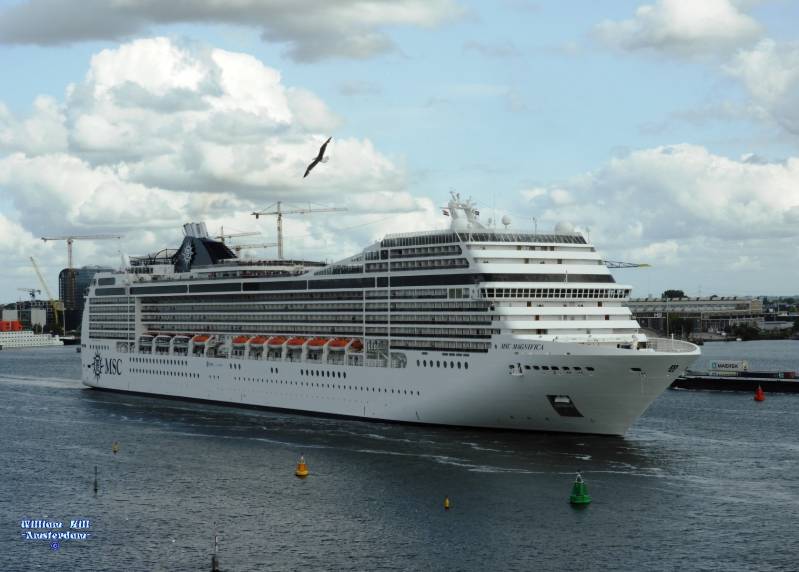 at noon, a nice gull welcomes