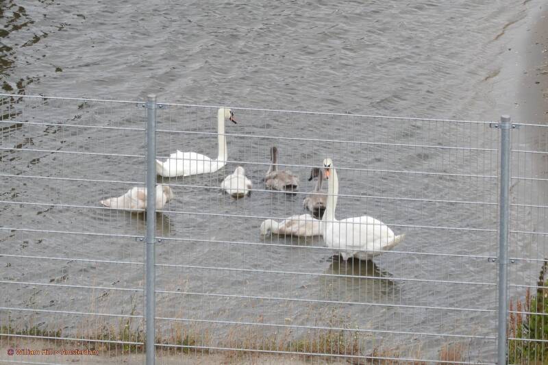 Look we are at the ZOO!