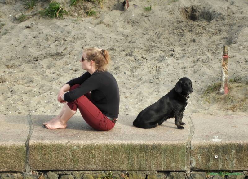 (12)  -  Social Distancing