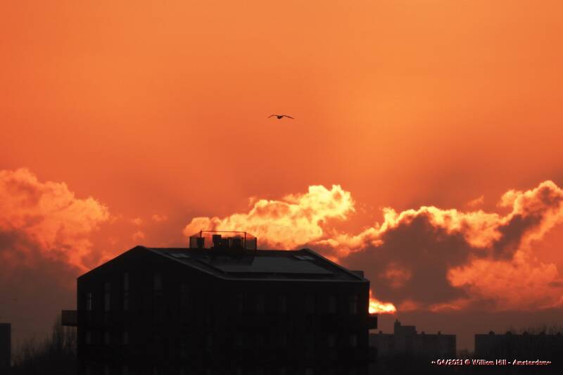 13, Goodmorning Amsterdam