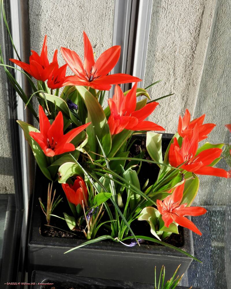 Sun..Sun..Sun, We Adore You !