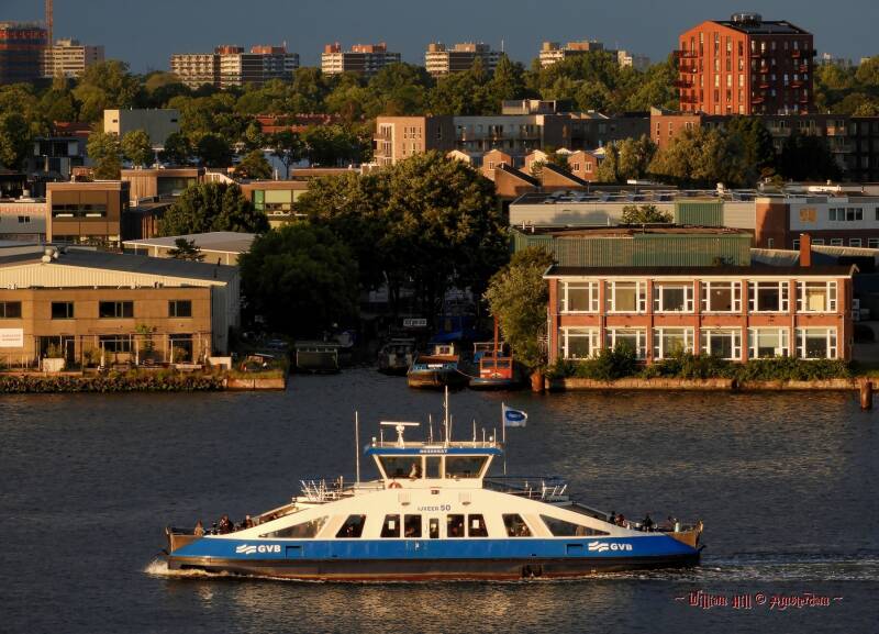 IJVEER 50 in that same light