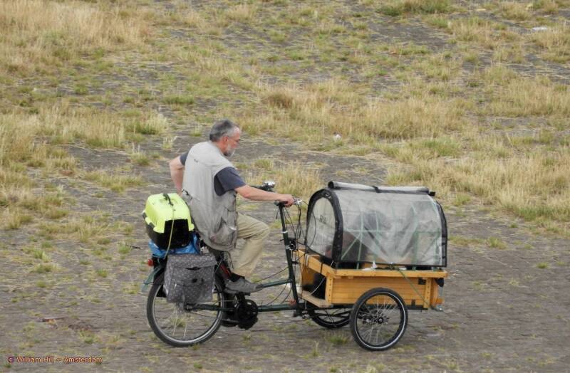 the Dog stay dry, the cat stay dry and it is refreshing for their owner