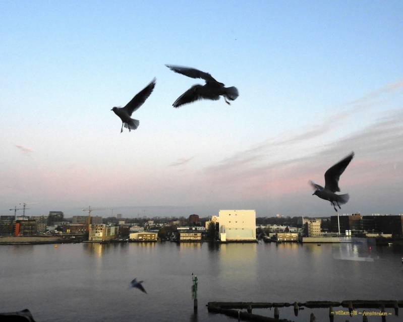 16:34.. he&#039;s home! Billy-Billy-Billy..!