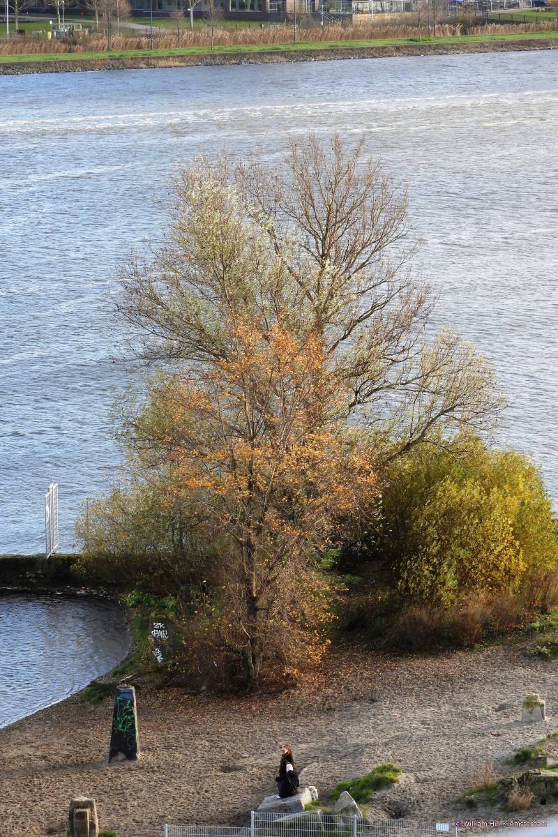 brrr you are looking like my hair is, thin