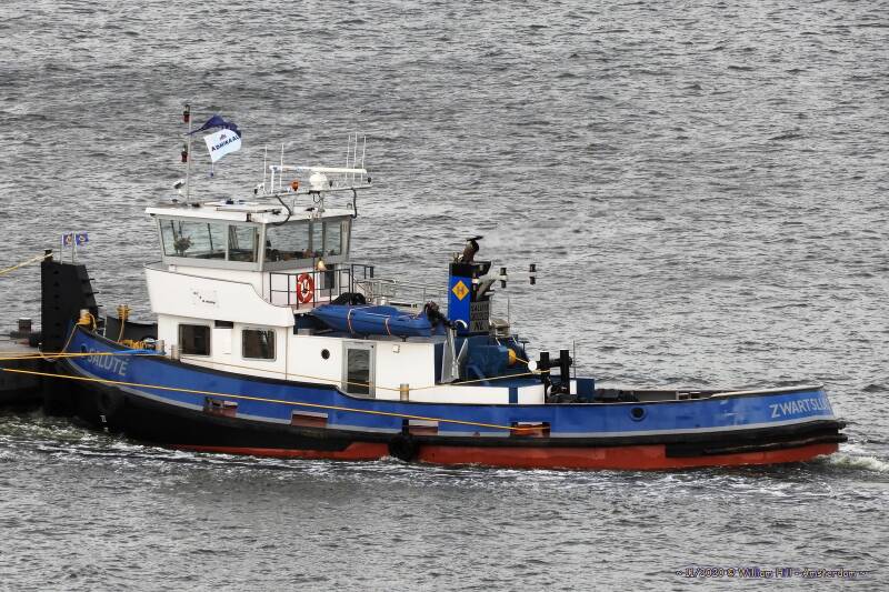 pushing tug SALUTÉ