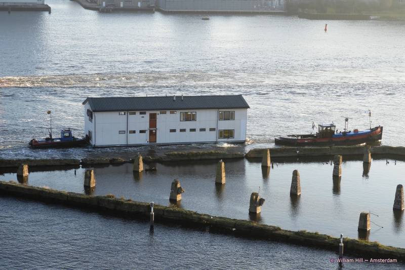 not only the birds go south