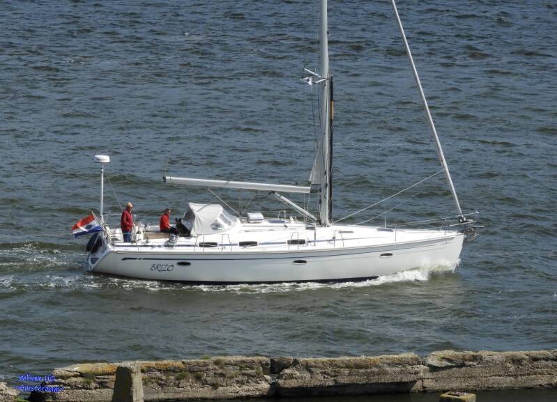 Doggie is looking to me