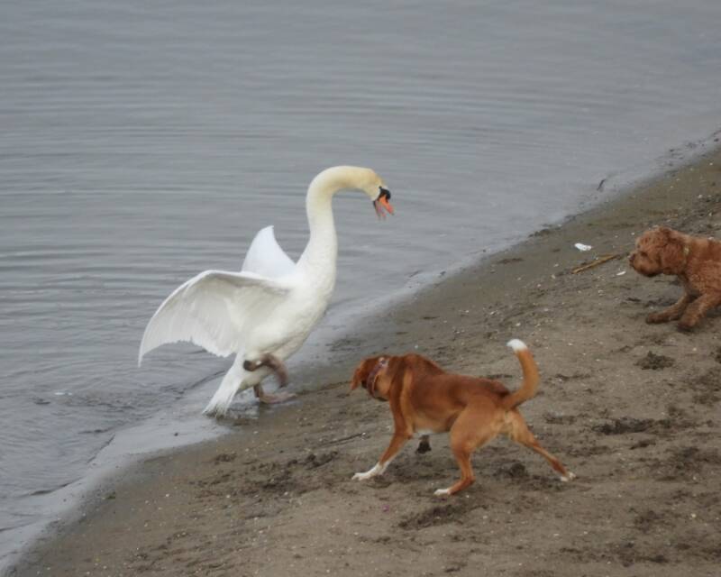 YES I CAN TAKE YOU BOTH