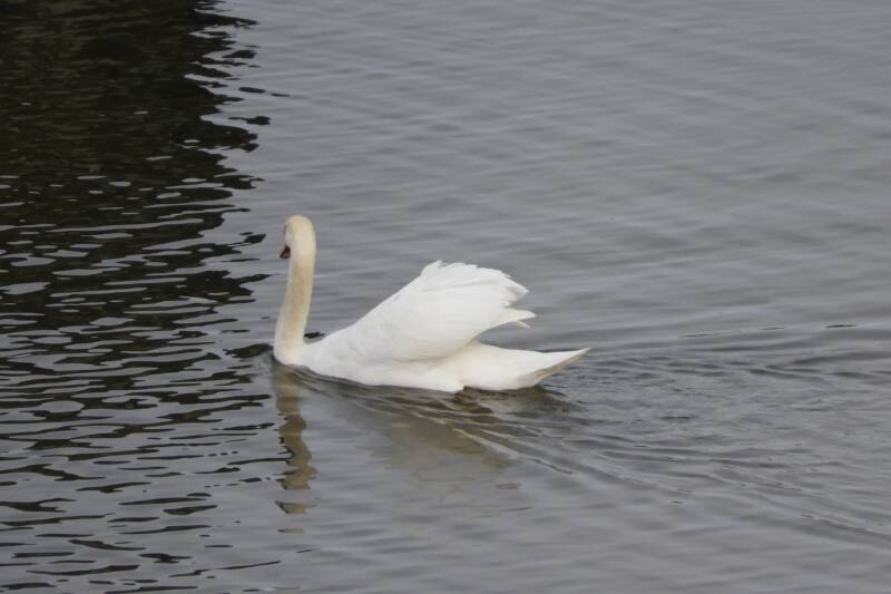 and .. BACK ON PATROL