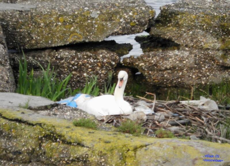 Yeah., AND STAY OUT !!