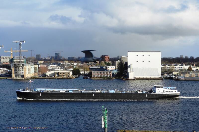 inlandtanker PHILOS    (and speeding gull)