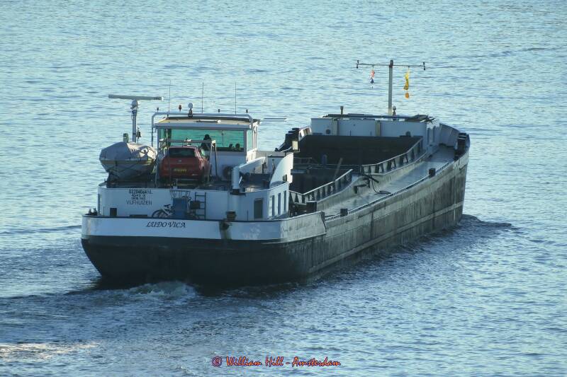 cargo LUDOVICA