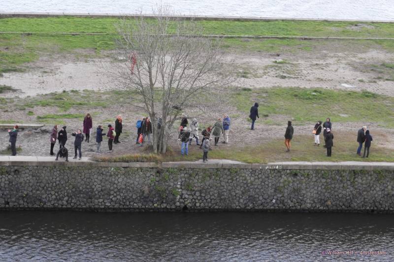 eco-tourists, viewing plants at the side of the pier