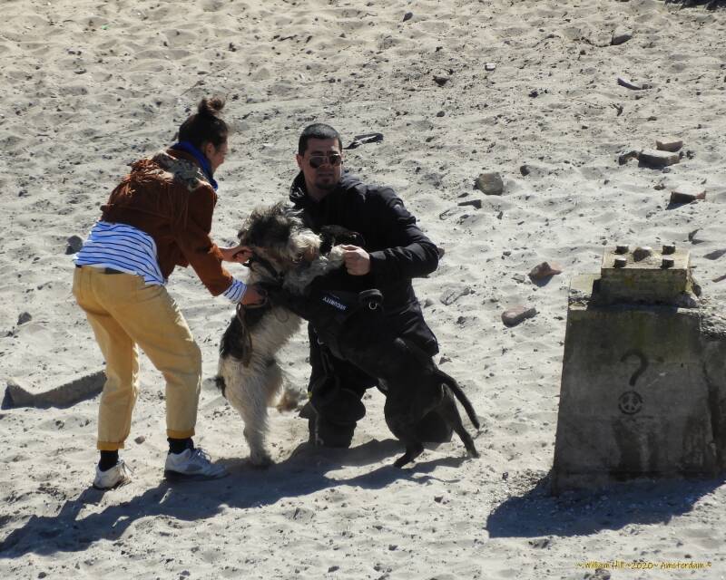 funny that question mark there