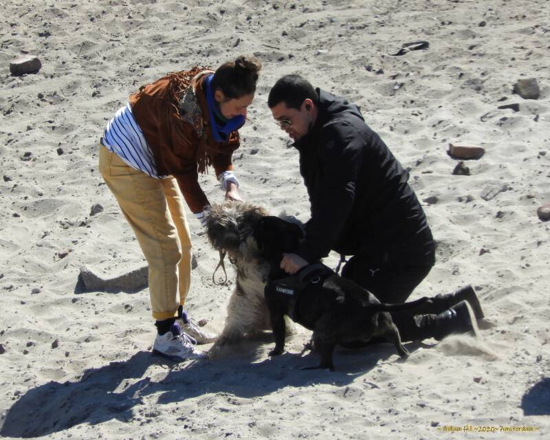 she is trying to release her dog, he is trying his dog to release