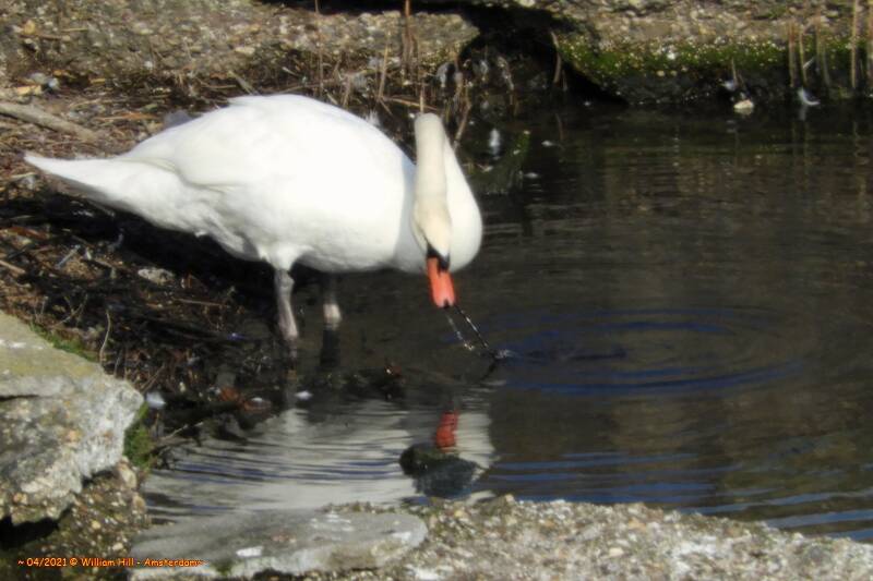 picking up dirt - putting down dirt, like a crane