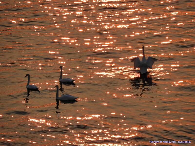 ah one of them is a sun worshipper
