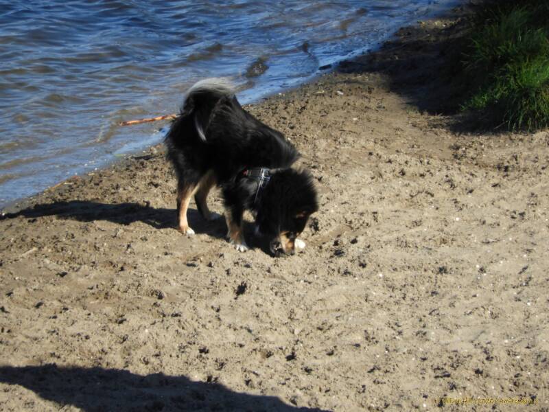 picking up the ball, at least he/she tries