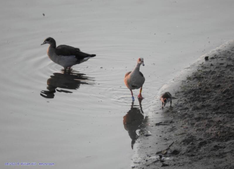 okay, I see you two later. - Bye Dad!
