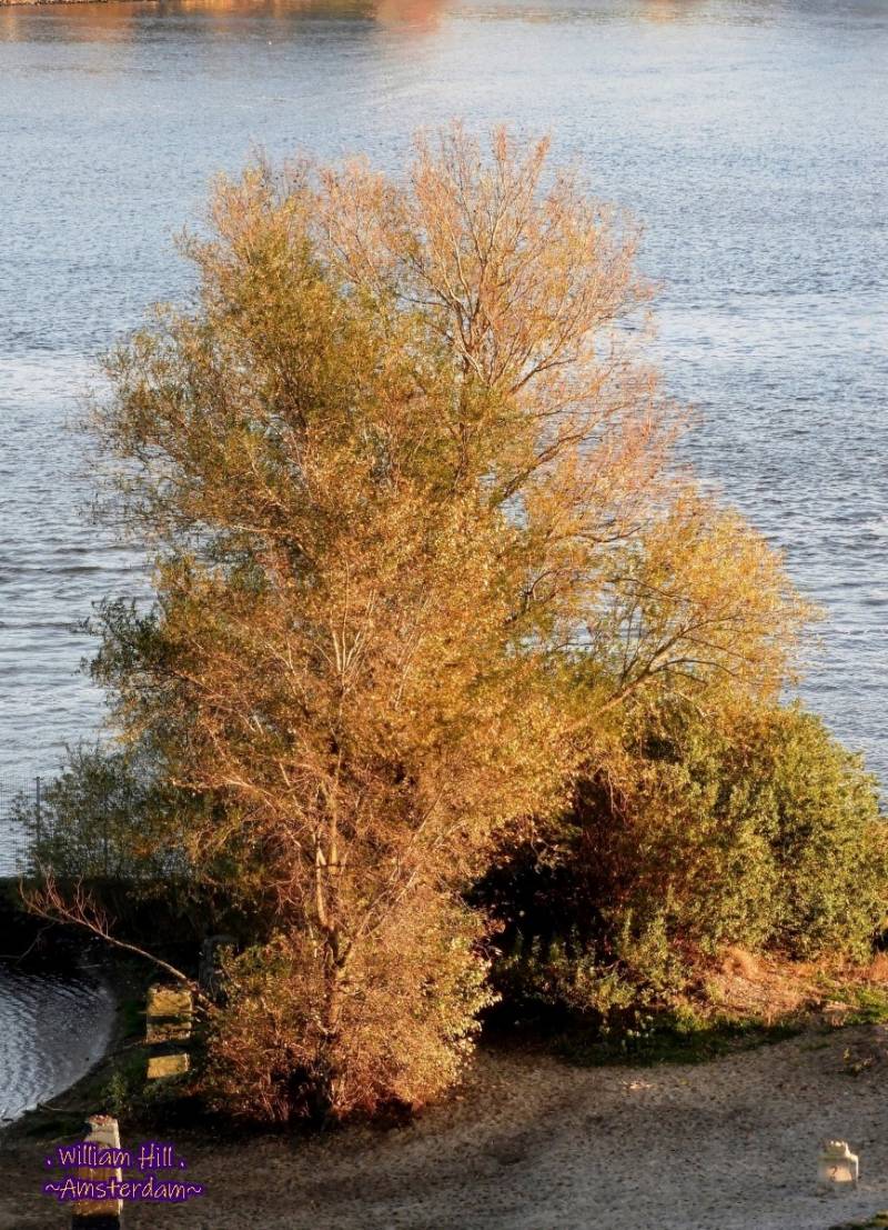 finally it is here autumn too