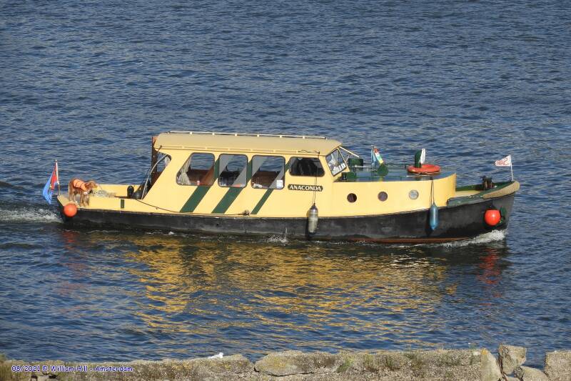 ANACONDA with shipdog