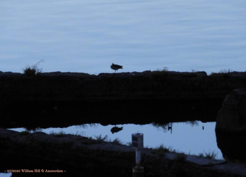  Just A Beautiful Morning (7)