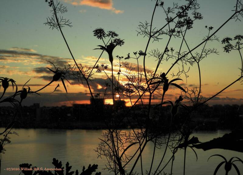 15/07-05:51, Just A Beautiful Morning (27) 